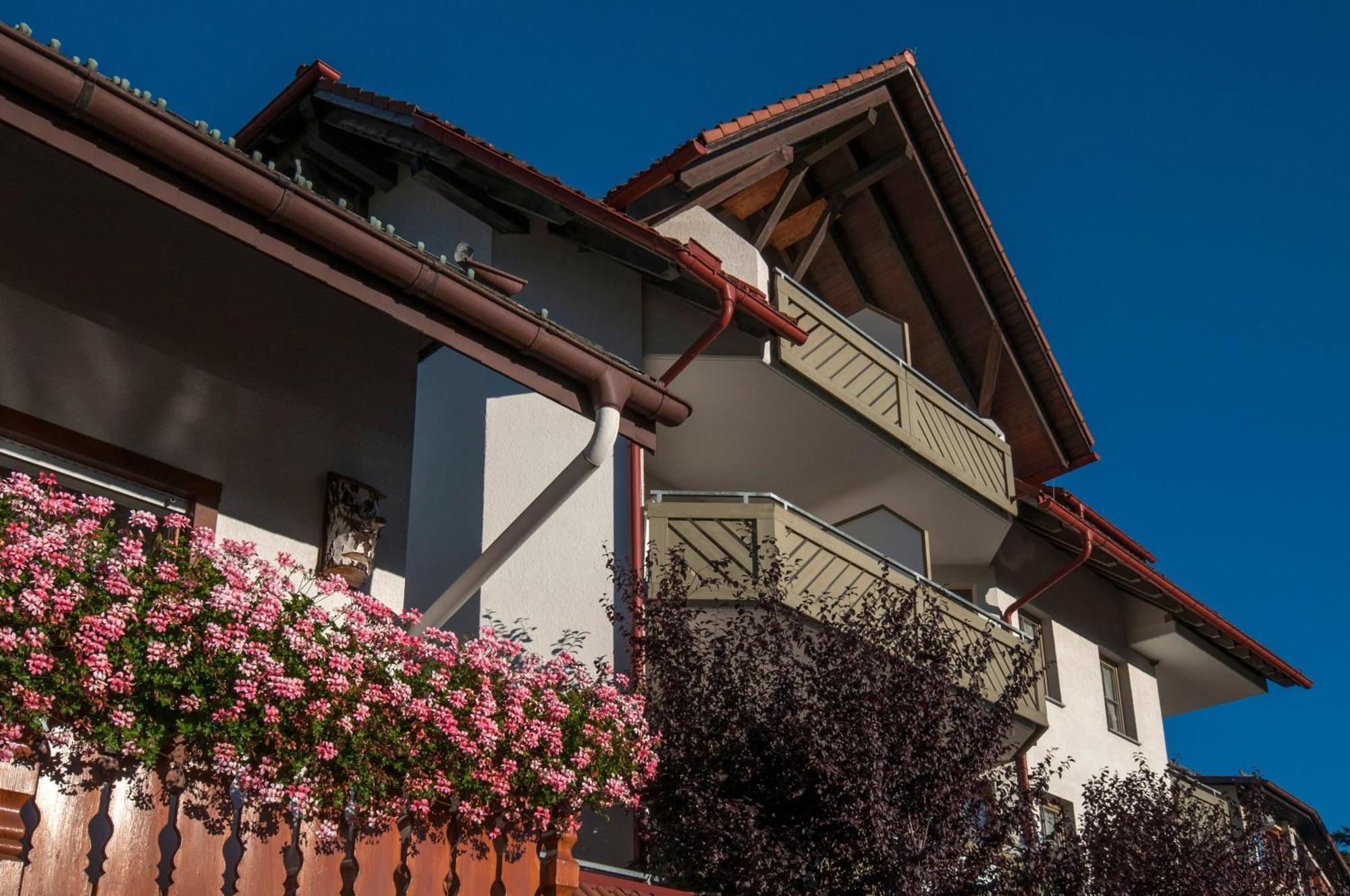 Apartment 03 - Ferienresidenz Roseneck, Mit Schwimmbad In Todtnauberg Bei Feldberg Bagian luar foto