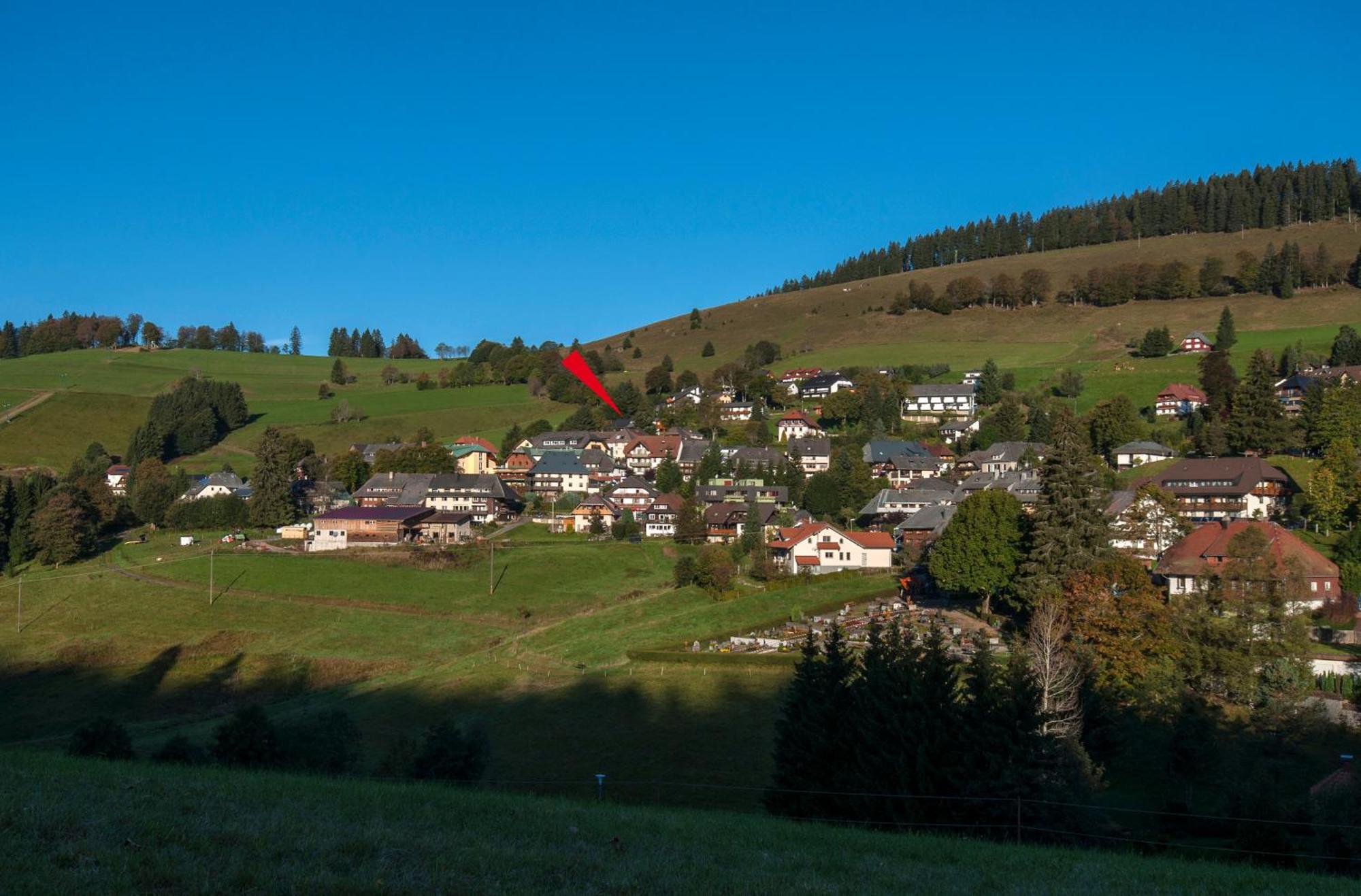 Apartment 03 - Ferienresidenz Roseneck, Mit Schwimmbad In Todtnauberg Bei Feldberg Bagian luar foto