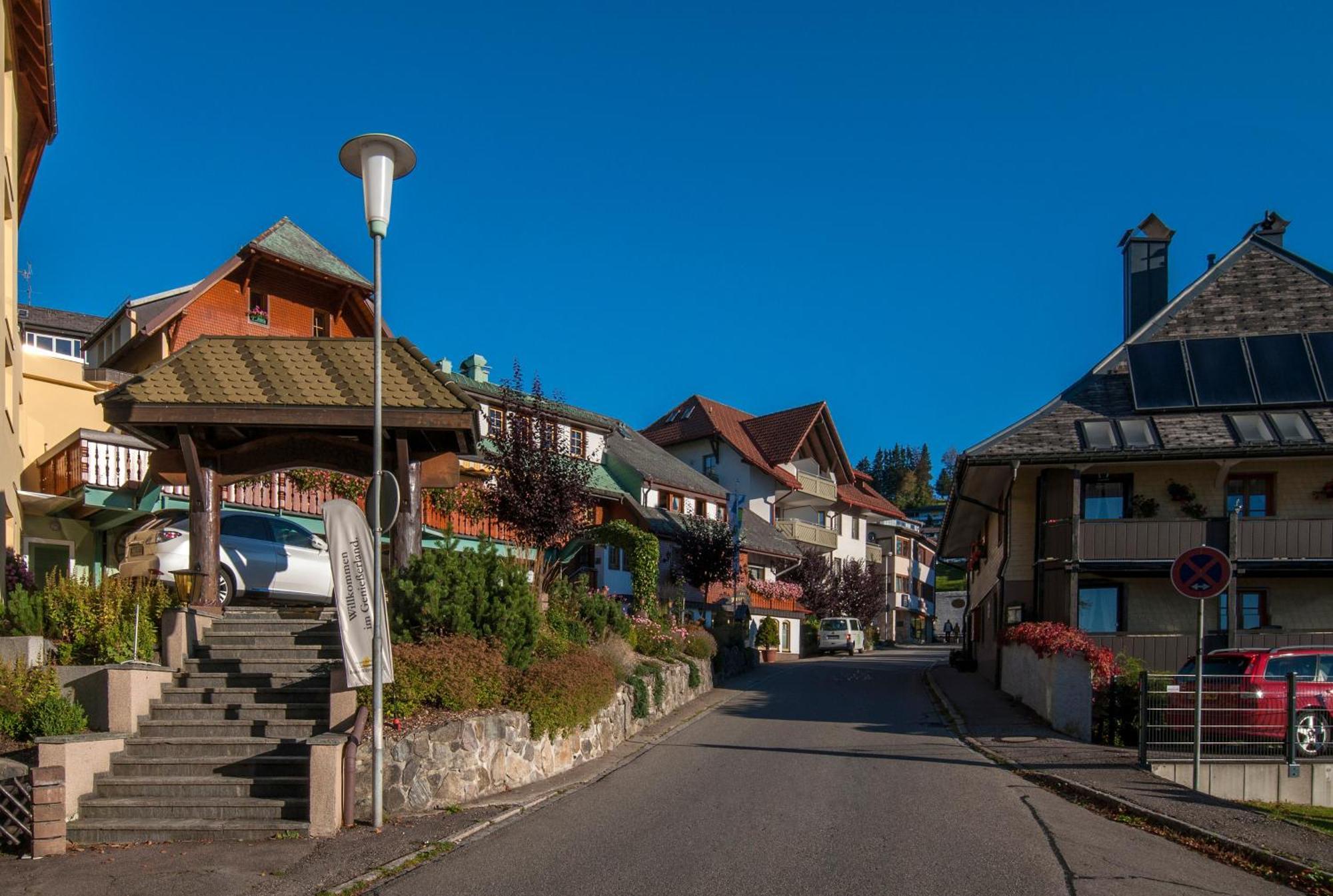 Apartment 03 - Ferienresidenz Roseneck, Mit Schwimmbad In Todtnauberg Bei Feldberg Bagian luar foto