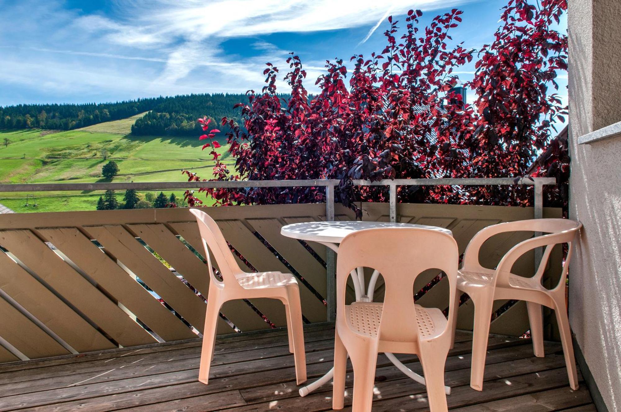 Apartment 03 - Ferienresidenz Roseneck, Mit Schwimmbad In Todtnauberg Bei Feldberg Bagian luar foto